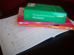 Lernmaterialen für Polnisch